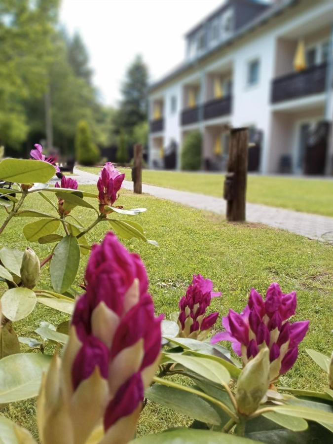 Gaestehaus Falkenhof Westensee ภายนอก รูปภาพ